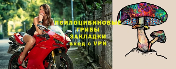 гидра Алзамай