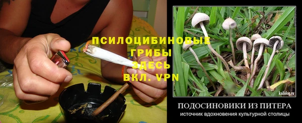 mix Ельня