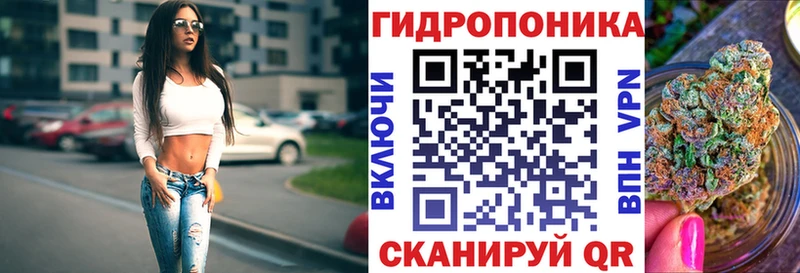 купить  сайты  Новоалександровск  Канабис индика 